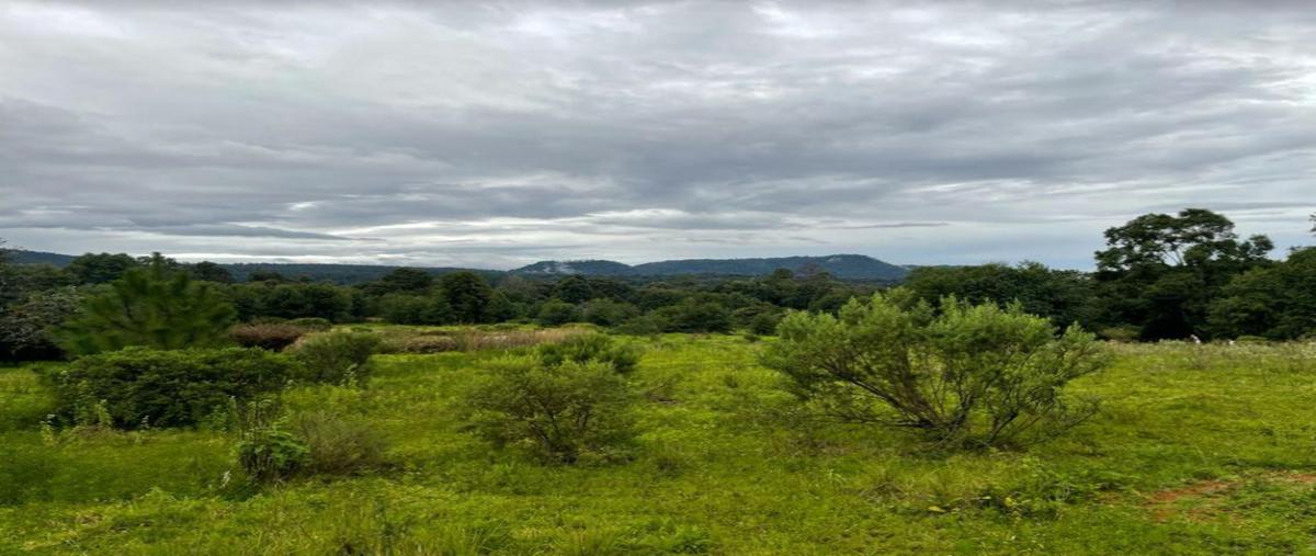 Foto de terreno habitacional en venta en san simón , san simón el alto, valle de bravo, méxico, 0 No. 03