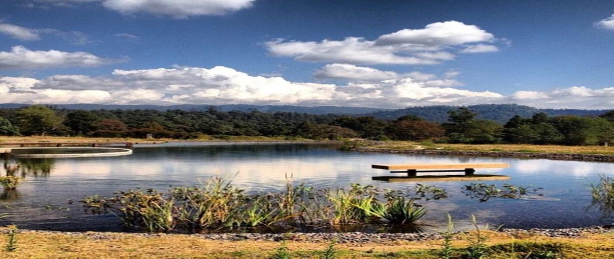 Foto de terreno habitacional en venta en san simón , san simón el alto, valle de bravo, méxico, 0 No. 04