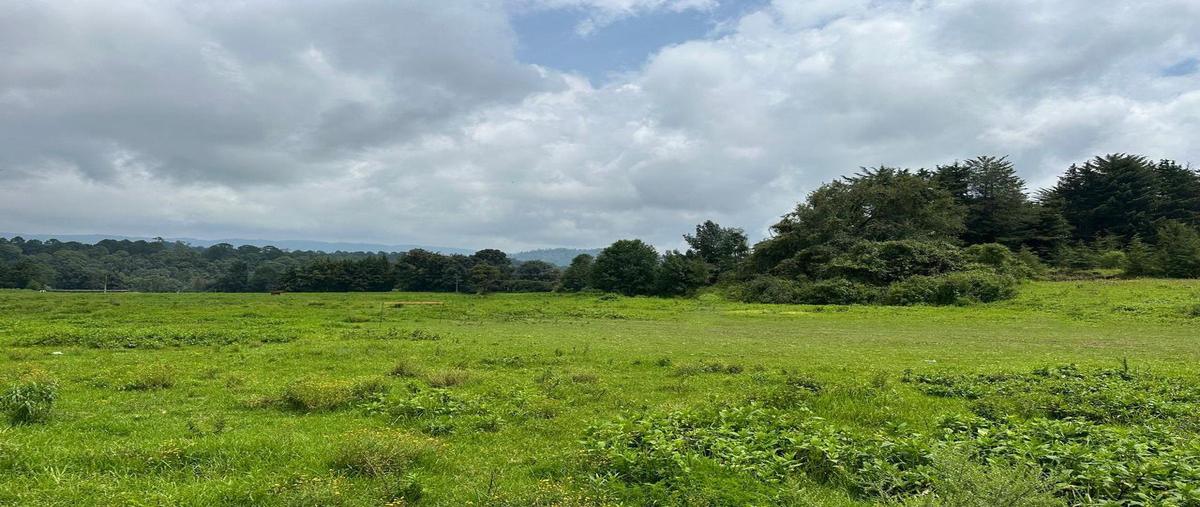 Foto de casa en san simón , san simón el alto, valle de bravo, méxico, 0 foto 02 Foto de casa en venta en san simón , san simón el alto, valle de bravo, méxico, 0 No. 02