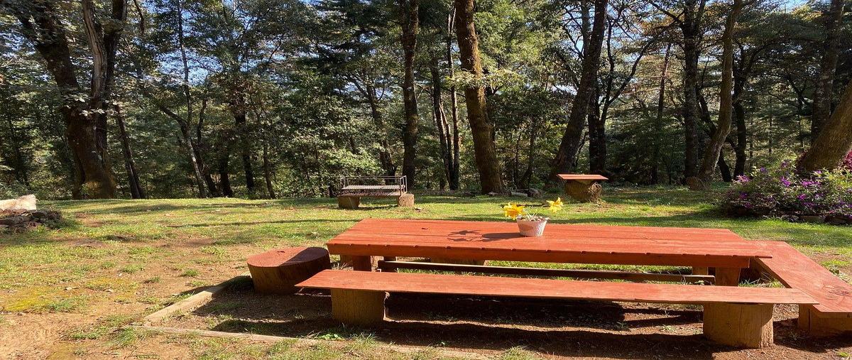 Foto de casa en venta en san simon , san simón el alto, valle de bravo, méxico, 0 No. 04