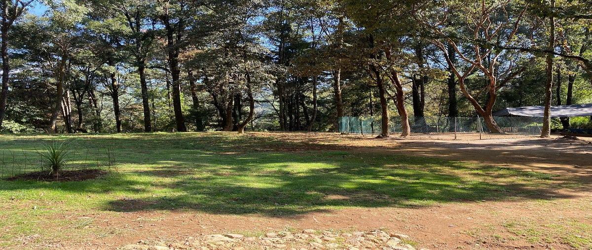 Foto de casa en venta en san simon , san simón el alto, valle de bravo, méxico, 0 No. 05