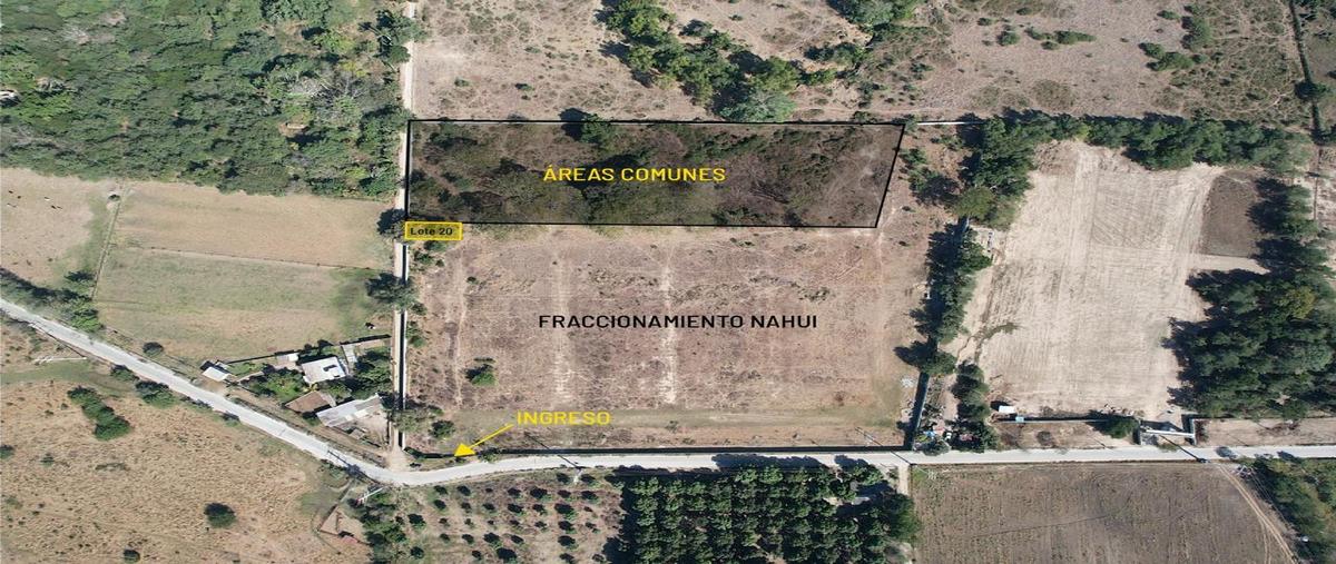 Foto de terreno habitacional en venta en  , san vicente, bahía de banderas, nayarit, 0 No. 05