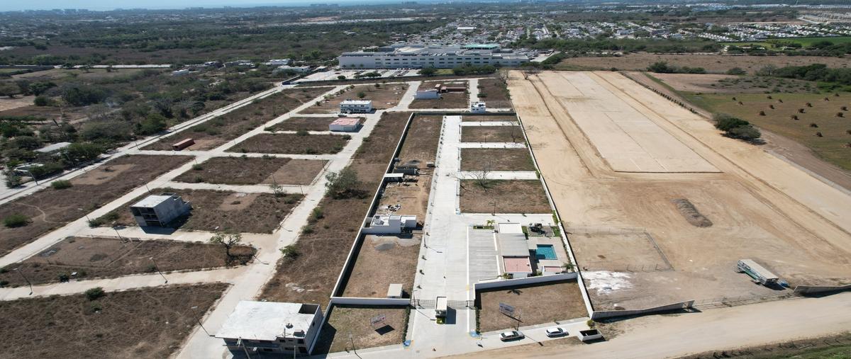 Foto de terreno habitacional en venta en  , san vicente, bahía de banderas, nayarit, 0 No. 04