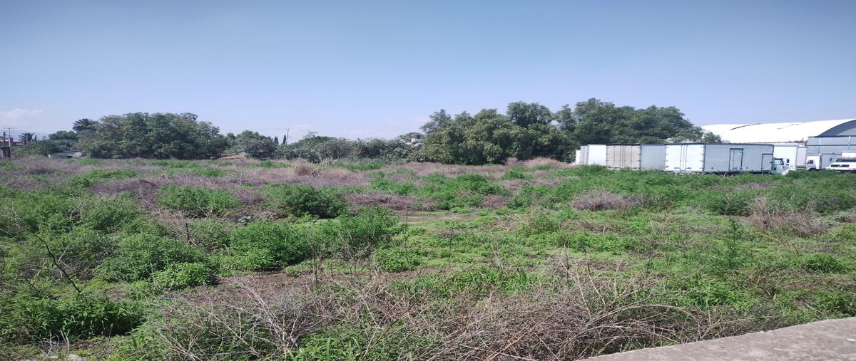 Foto de terreno habitacional en venta en  , san vicente chicoloapan de juárez centro, chicoloapan, méxico, 0 No. 02
