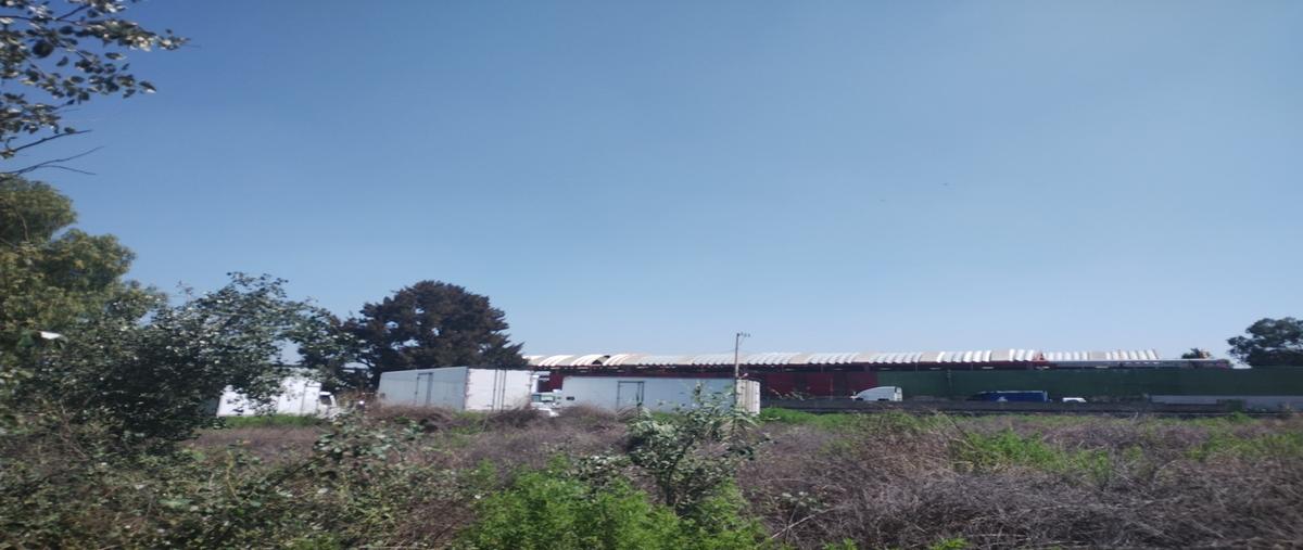 Foto de terreno habitacional en venta en  , san vicente chicoloapan de juárez centro, chicoloapan, méxico, 0 No. 04