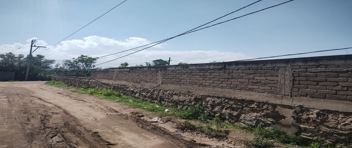 Foto de terreno habitacional en venta en  , san vicente chicoloapan de juárez centro, chicoloapan, méxico, 0 No. 05