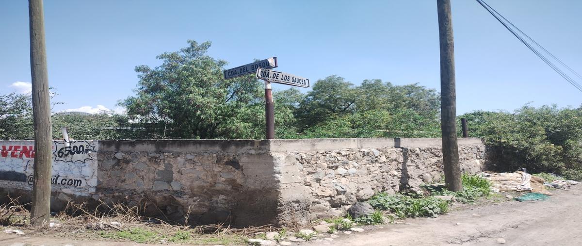 Foto de terreno habitacional en venta en  , san vicente chicoloapan de juárez centro, chicoloapan, méxico, 0 No. 01