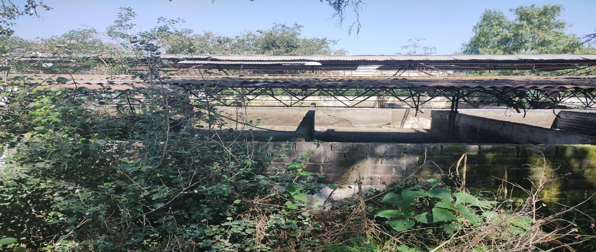 Foto de terreno habitacional en venta en  , san vicente chicoloapan de juárez centro, chicoloapan, méxico, 0 No. 05
