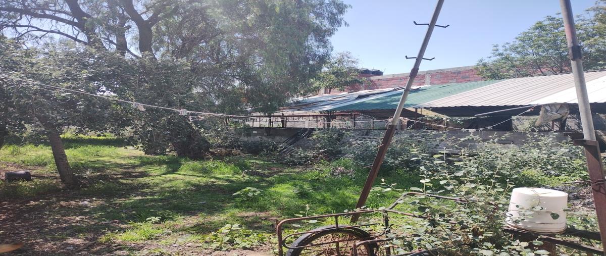 Foto de terreno habitacional en venta en  , san vicente chicoloapan de juárez centro, chicoloapan, méxico, 0 No. 05