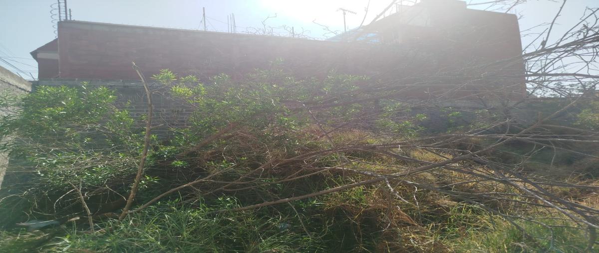 Foto de terreno habitacional en venta en  , san vicente chicoloapan de juárez centro, chicoloapan, méxico, 0 No. 03