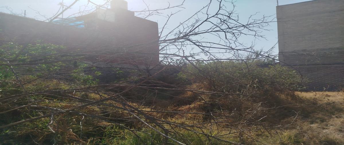 Foto de terreno habitacional en venta en  , san vicente chicoloapan de juárez centro, chicoloapan, méxico, 0 No. 04