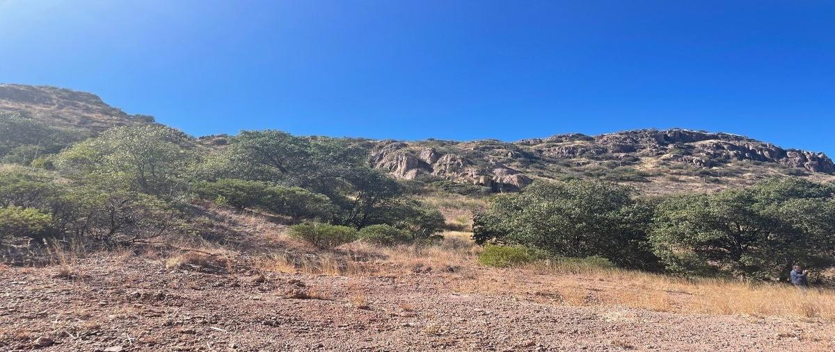 Foto de terreno habitacional en venta en  , san vicente de chupaderos, durango, durango, 25999610 No. 03