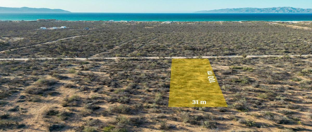 Foto de terreno habitacional en san vicente de los planes , la ventana, la paz, baja california sur, 29715732 foto 02 Foto de terreno habitacional en venta en san vicente de los planes , la ventana, la paz, baja california sur, 29715732 No. 02