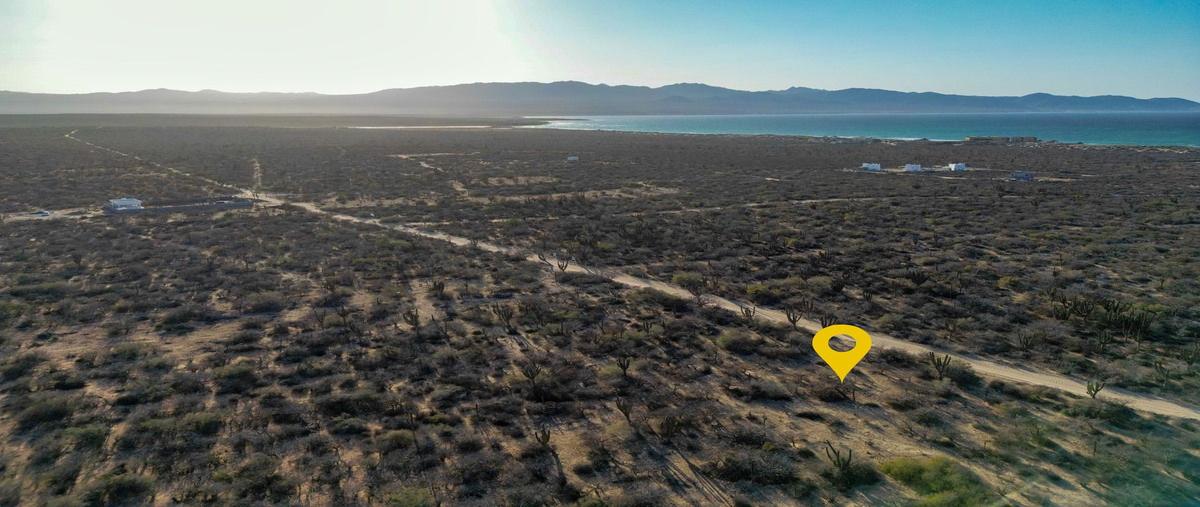 Foto de terreno habitacional en san vicente de los planes , la ventana, la paz, baja california sur, 29715732 foto 04 Foto de terreno habitacional en venta en san vicente de los planes , la ventana, la paz, baja california sur, 29715732 No. 04