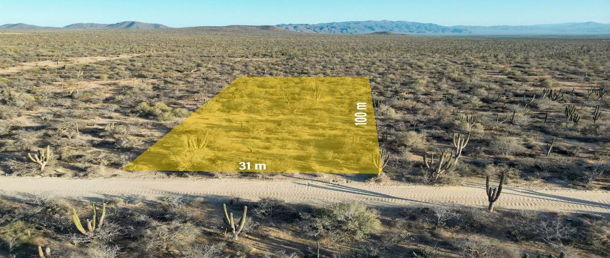 Foto de terreno habitacional en san vicente de los planes , la ventana, la paz, baja california sur, 29715732 foto 05 Foto de terreno habitacional en venta en san vicente de los planes , la ventana, la paz, baja california sur, 29715732 No. 05