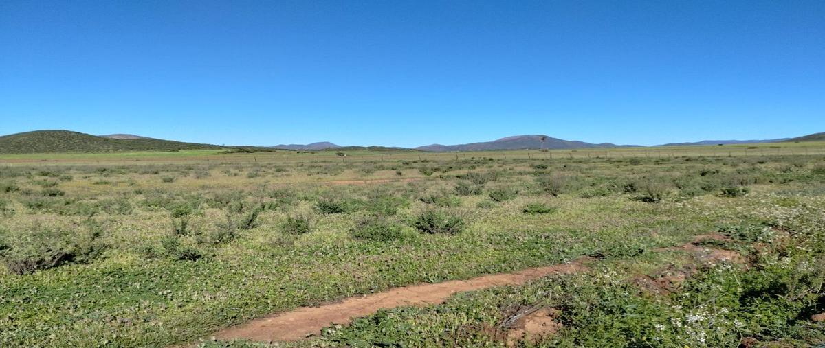 Foto de rancho en venta en  , san vicente, ensenada, baja california, 27892903 No. 03