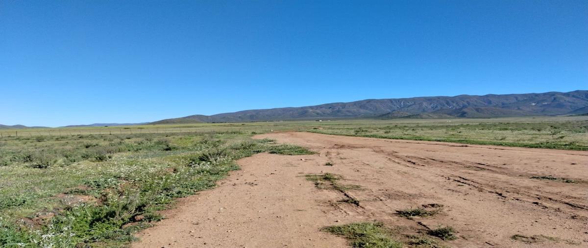 Foto de rancho en venta en  , san vicente, ensenada, baja california, 27892903 No. 04