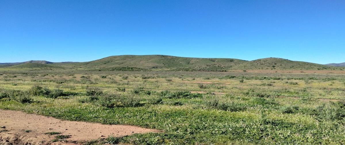 Foto de rancho en venta en  , san vicente, ensenada, baja california, 27892903 No. 05