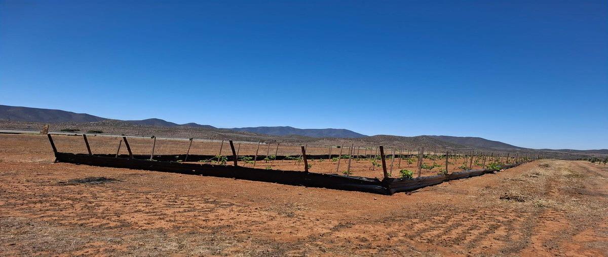 Foto de terreno habitacional en venta en  , san vicente, ensenada, baja california, 0 No. 04
