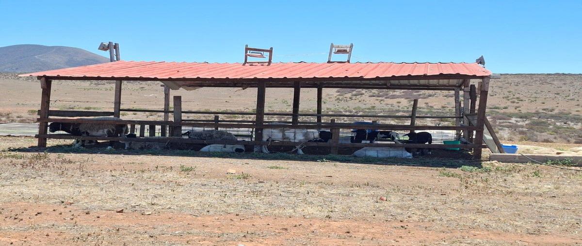 Foto de terreno habitacional en venta en  , san vicente, ensenada, baja california, 0 No. 05