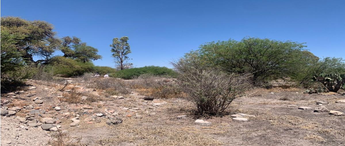Foto de terreno habitacional en venta en  , san vicente ferrer, el marqués, querétaro, 0 No. 04