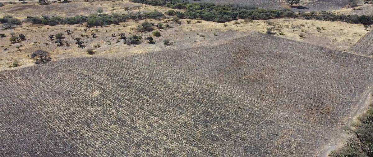 Foto de terreno habitacional en venta en  , san vicente ferrer, el marqués, querétaro, 0 No. 03