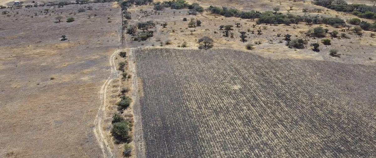 Foto de terreno habitacional en venta en  , san vicente ferrer, el marqués, querétaro, 0 No. 04