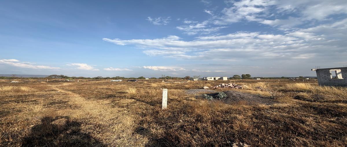 Foto de terreno habitacional en venta en  , san vicente ferrer, el marqués, querétaro, 0 No. 05