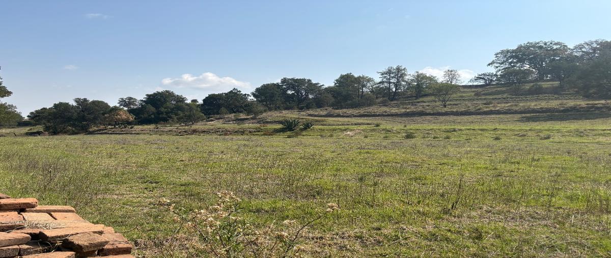 Foto de terreno habitacional en venta en  , sanctórum, sanctórum de lázaro cárdenas, tlaxcala, 0 No. 03