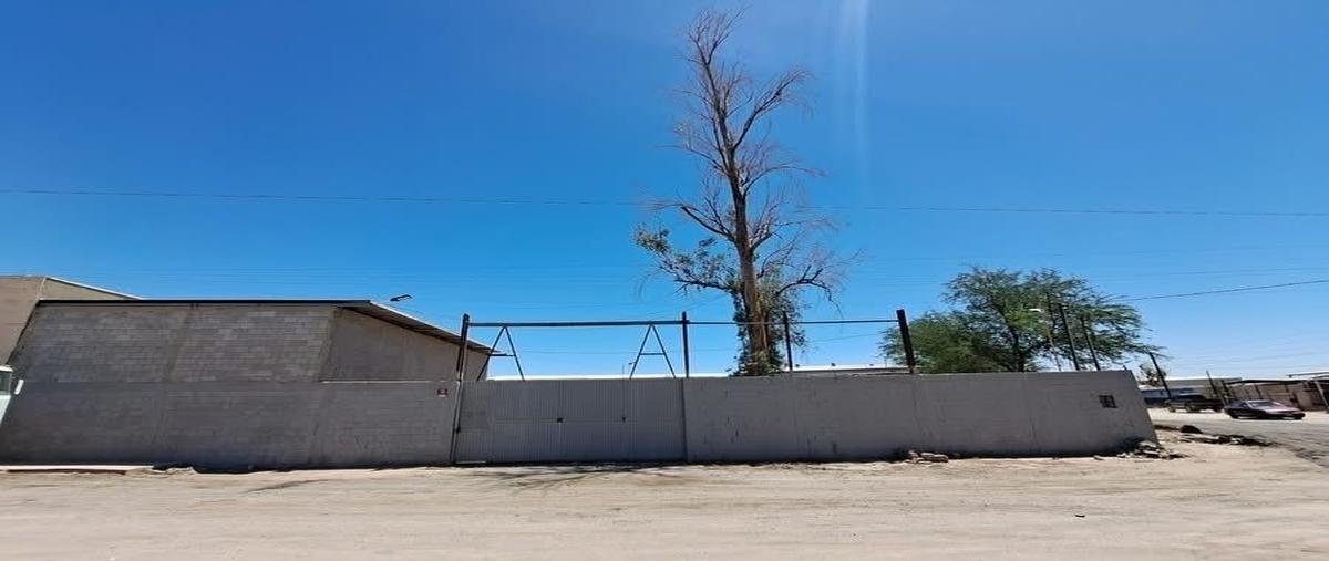 Foto de bodega en sandía , granjas santa cecilia, mexicali, baja california, 0 foto 03 Foto de bodega en venta en sandía , granjas santa cecilia, mexicali, baja california, 0 No. 03