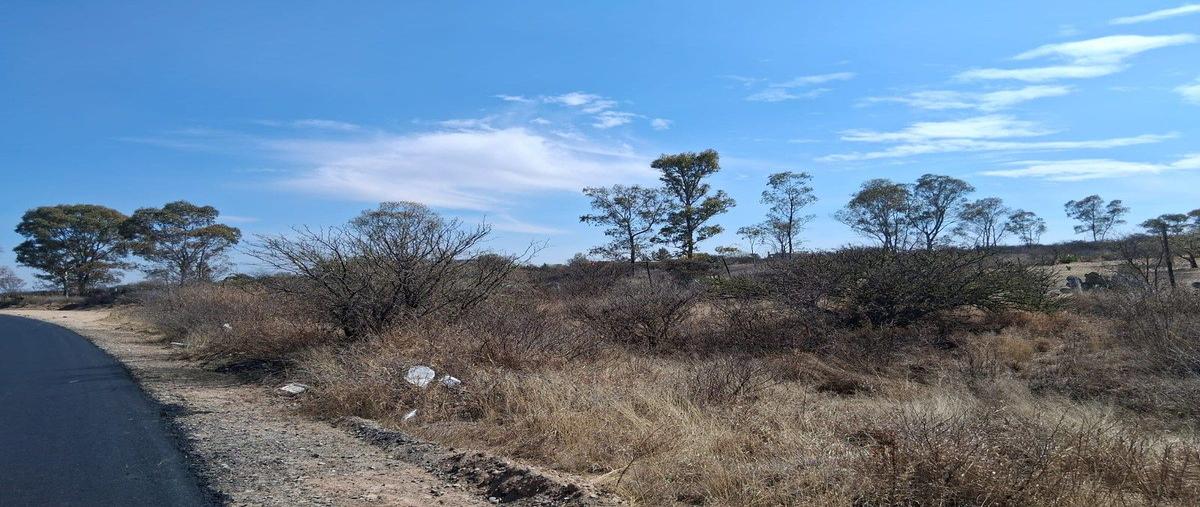 Foto de terreno habitacional en venta en sandovales , el barreno (ampliación san francisco), el llano, aguascalientes, 0 No. 05