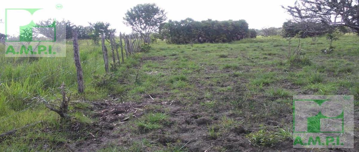 Foto de terreno habitacional en , santa adelaida, palizada, campeche, 0 foto 01 Foto de terreno habitacional en venta en , santa adelaida, palizada, campeche, 0 No. 01