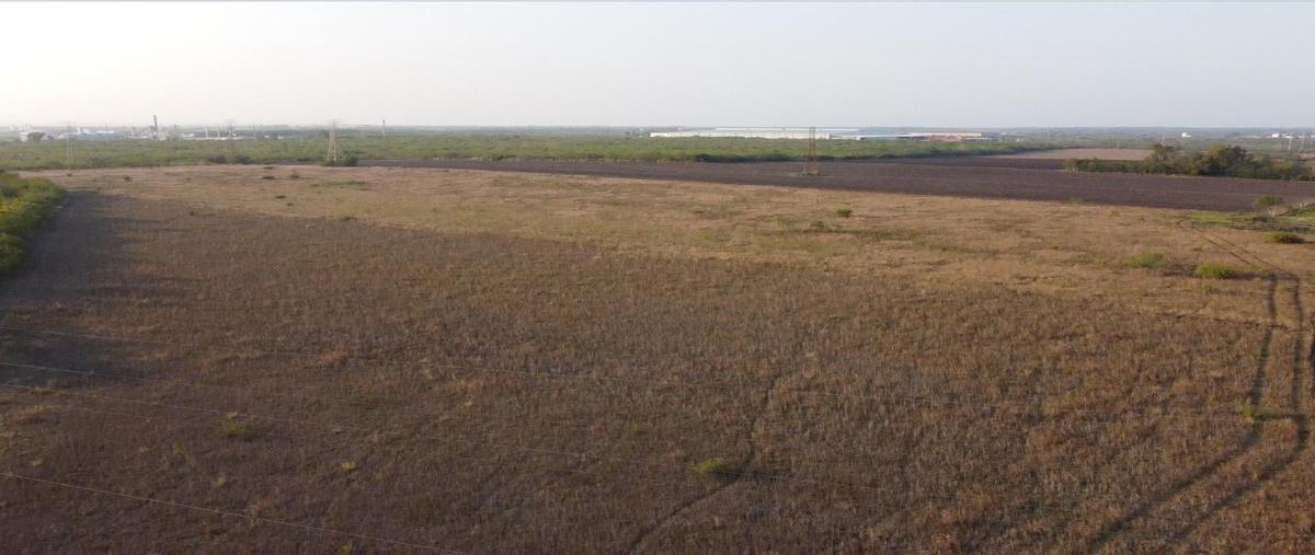Foto de terreno habitacional en venta en  , santa amalia, altamira, tamaulipas, 19363110 No. 03