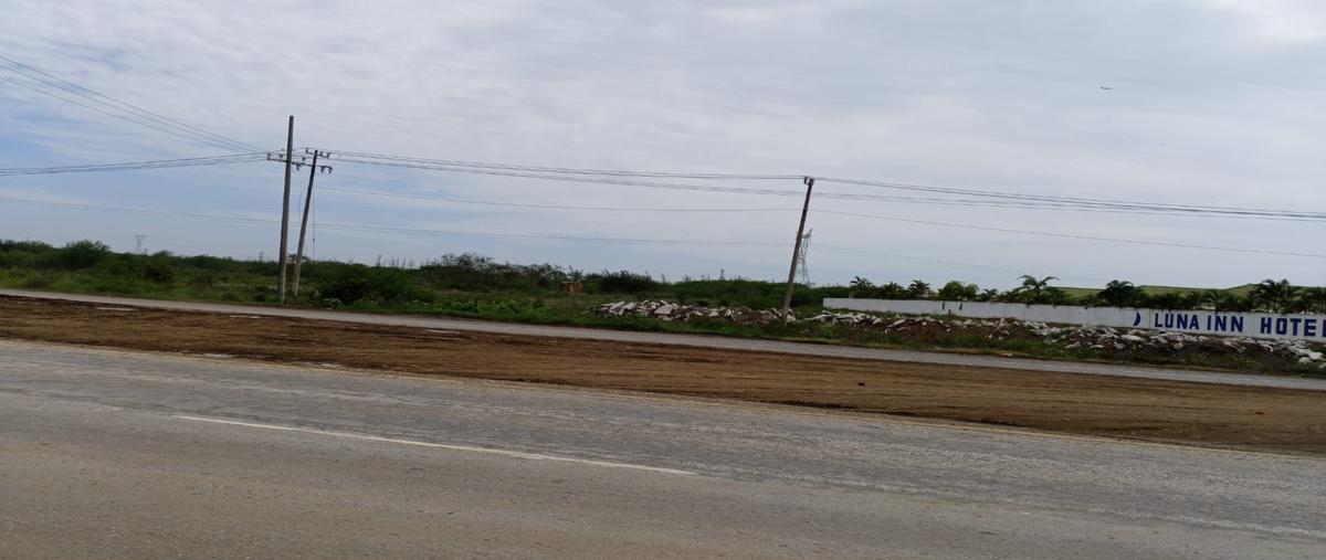 Foto de terreno habitacional en , santa amalia, altamira, tamaulipas, 26830058 foto 03 Foto de terreno habitacional en venta en , santa amalia, altamira, tamaulipas, 26830058 No. 03