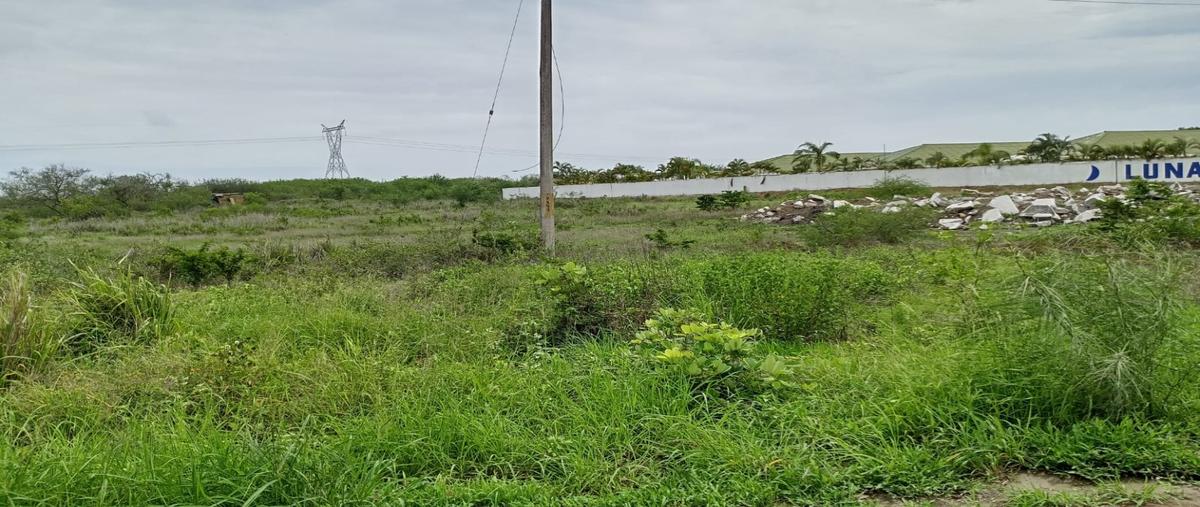 Foto de terreno habitacional en , santa amalia, altamira, tamaulipas, 26830058 foto 04 Foto de terreno habitacional en venta en , santa amalia, altamira, tamaulipas, 26830058 No. 04