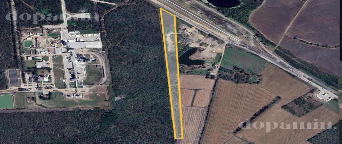 Foto de terreno habitacional en venta en  , santa amalia, altamira, tamaulipas, 0 No. 04