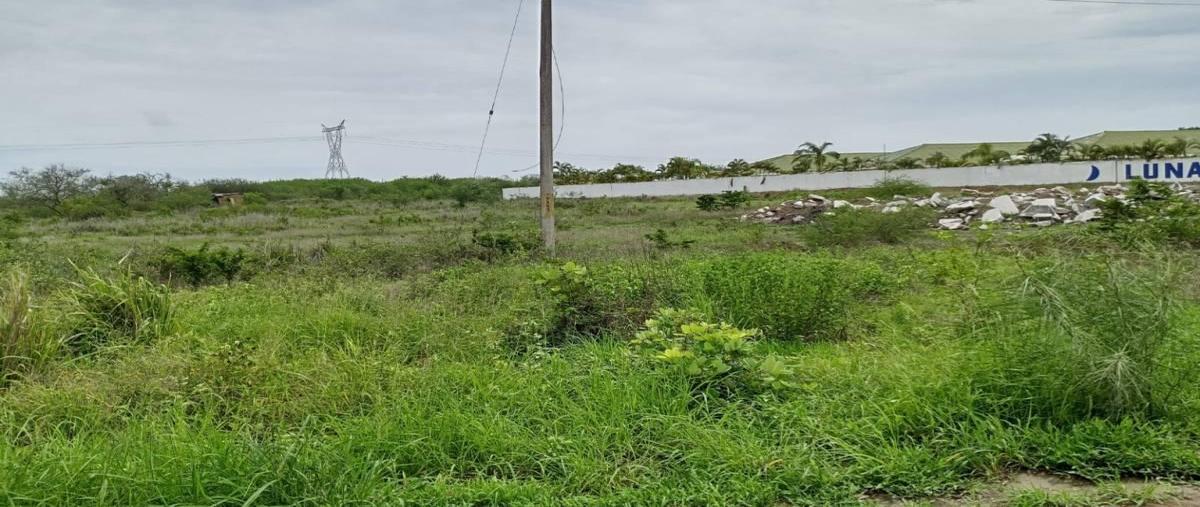 Foto de terreno habitacional en venta en  , santa amalia, altamira, tamaulipas, 30139803 No. 04
