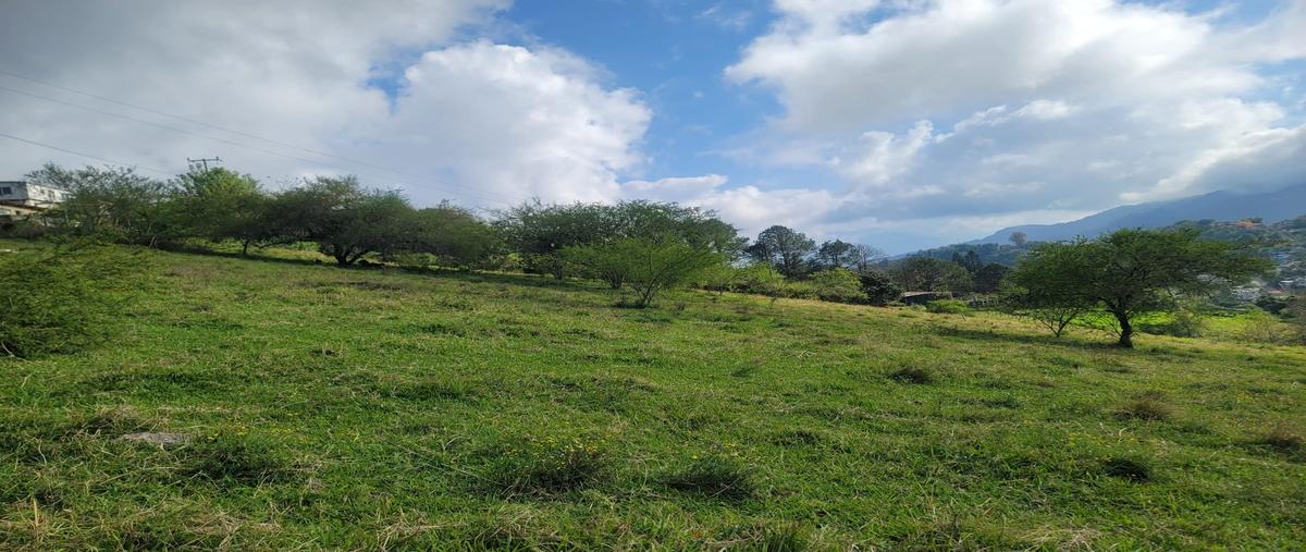 Santa Ana Ahuehuepan Venta terreno en Santa Ana Ahuehuepan, Colonia Santa Ana Ahuehuepan, C ...