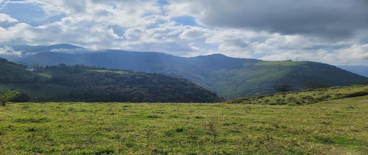 Santa Ana Ahuehuepan Venta terreno en Santa Ana Ahuehuepan, Colonia Santa Ana Ahuehuepan, C ...