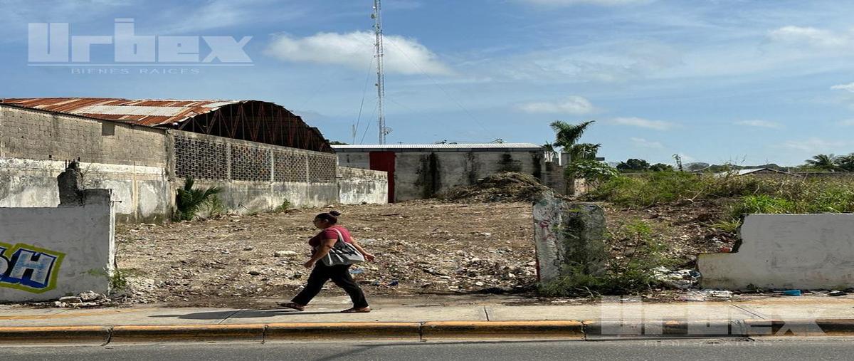 Foto de terreno habitacional en , santa ana, campeche, campeche, 26821856 foto 05 Foto de terreno habitacional en renta en , santa ana, campeche, campeche, 26821856 No. 05