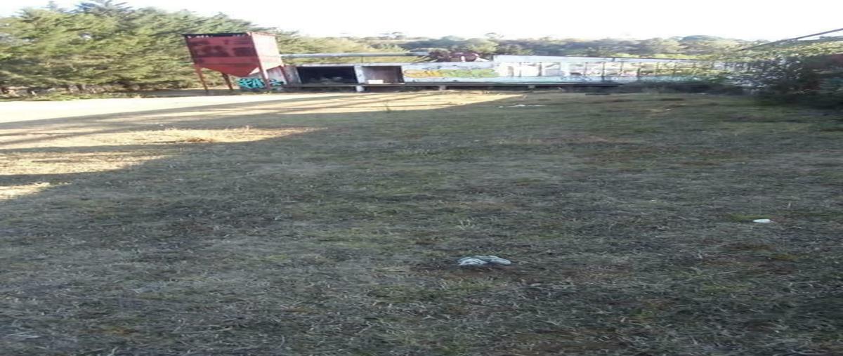 Foto de terreno comercial en venta en  , santa ana chapitiro, pátzcuaro, michoacán de ocampo, 20302443 No. 03