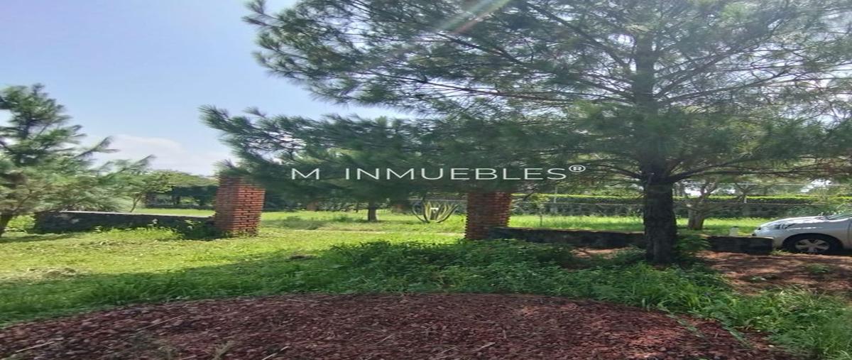 Foto de terreno habitacional en venta en santa ana chapitiro , santa ana chapitiro, pátzcuaro, michoacán de ocampo, 0 No. 03