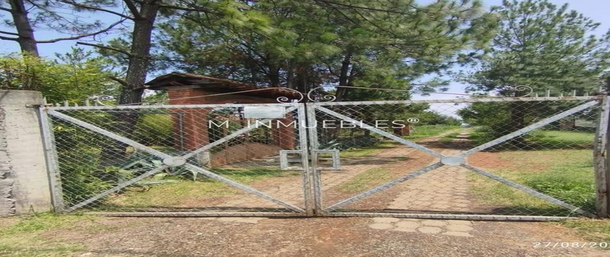 Foto de terreno habitacional en venta en santa ana chapitiro , santa ana chapitiro, pátzcuaro, michoacán de ocampo, 0 No. 04