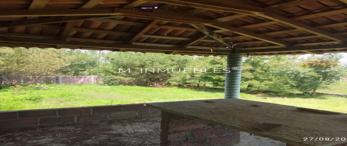 Foto de terreno habitacional en venta en santa ana chapitiro , santa ana chapitiro, pátzcuaro, michoacán de ocampo, 0 No. 05