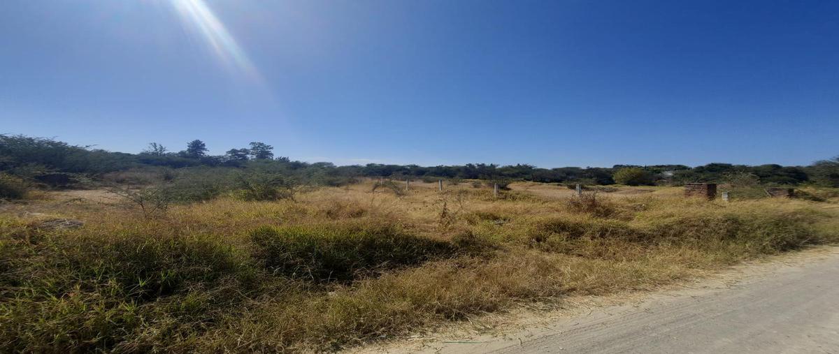 Foto de terreno habitacional en venta en  , santa ana del conde, león, guanajuato, 0 No. 04