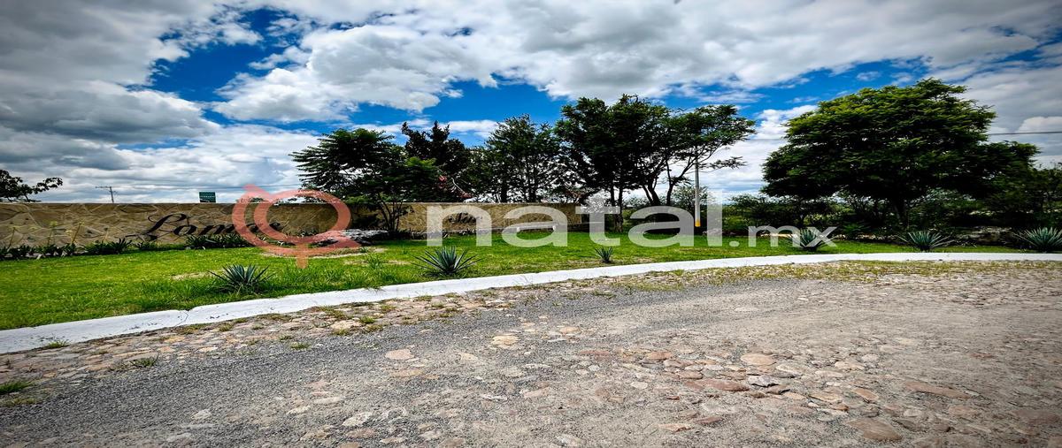 Foto de terreno habitacional en venta en  , santa ana del conde, león, guanajuato, 0 No. 03