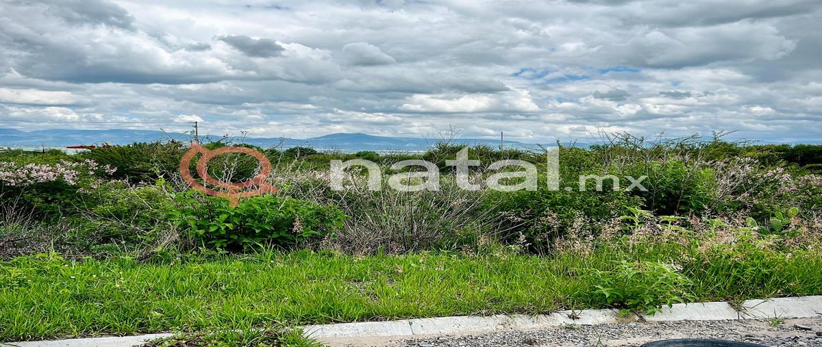 Foto de terreno habitacional en venta en  , santa ana del conde, león, guanajuato, 0 No. 05