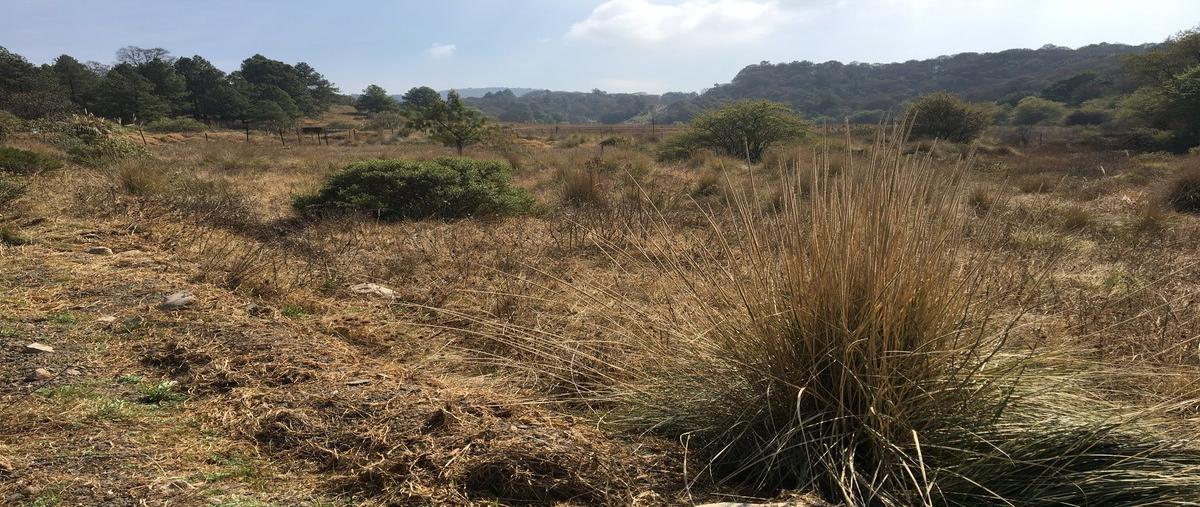 Foto de terreno habitacional en venta en  , santa ana jilotzingo, jilotzingo, méxico, 14321695 No. 01