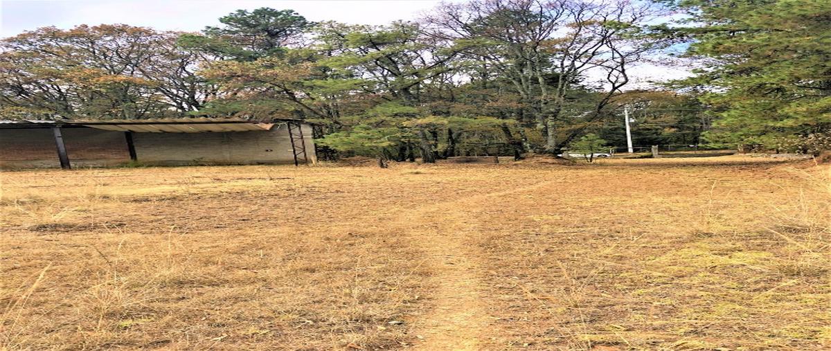 Foto de terreno habitacional en venta en  , santa ana jilotzingo, jilotzingo, méxico, 17065271 No. 03