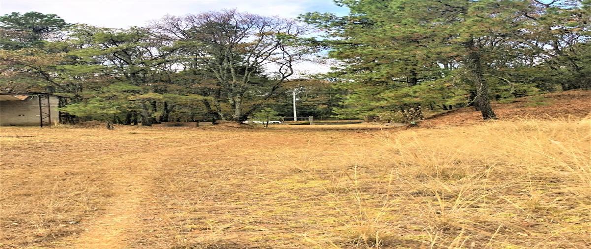 Foto de terreno habitacional en venta en  , santa ana jilotzingo, jilotzingo, méxico, 17065271 No. 05